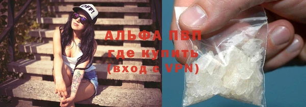 молекула духа Арсеньев