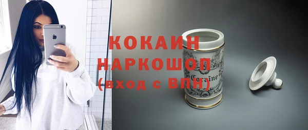 прущие грибы Тайга
