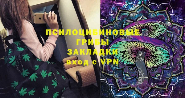трава Аркадак