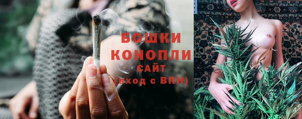 трава Аркадак