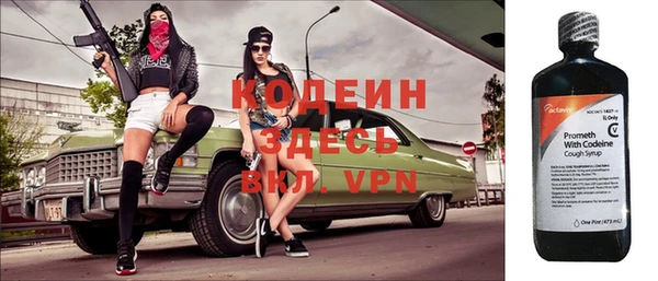 крисы Сясьстрой