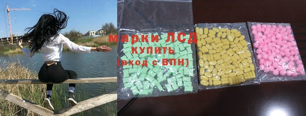 молекула духа Арсеньев
