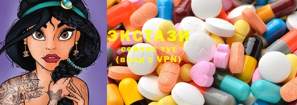крисы Сясьстрой