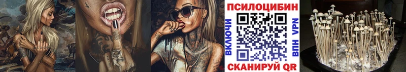 мега как зайти  Спас-Клепики  Псилоцибиновые грибы прущие грибы 